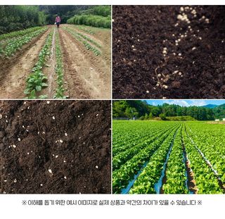 아그로플랜트님의 작성글 사진