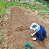 팜모닝 기타작물·자유게시판 게시글 이미지