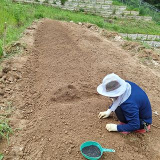 이종권님의 기타작물 · 자유게시판 작성글 사진