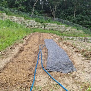 이종권님의 기타작물 · 자유게시판 작성글 사진