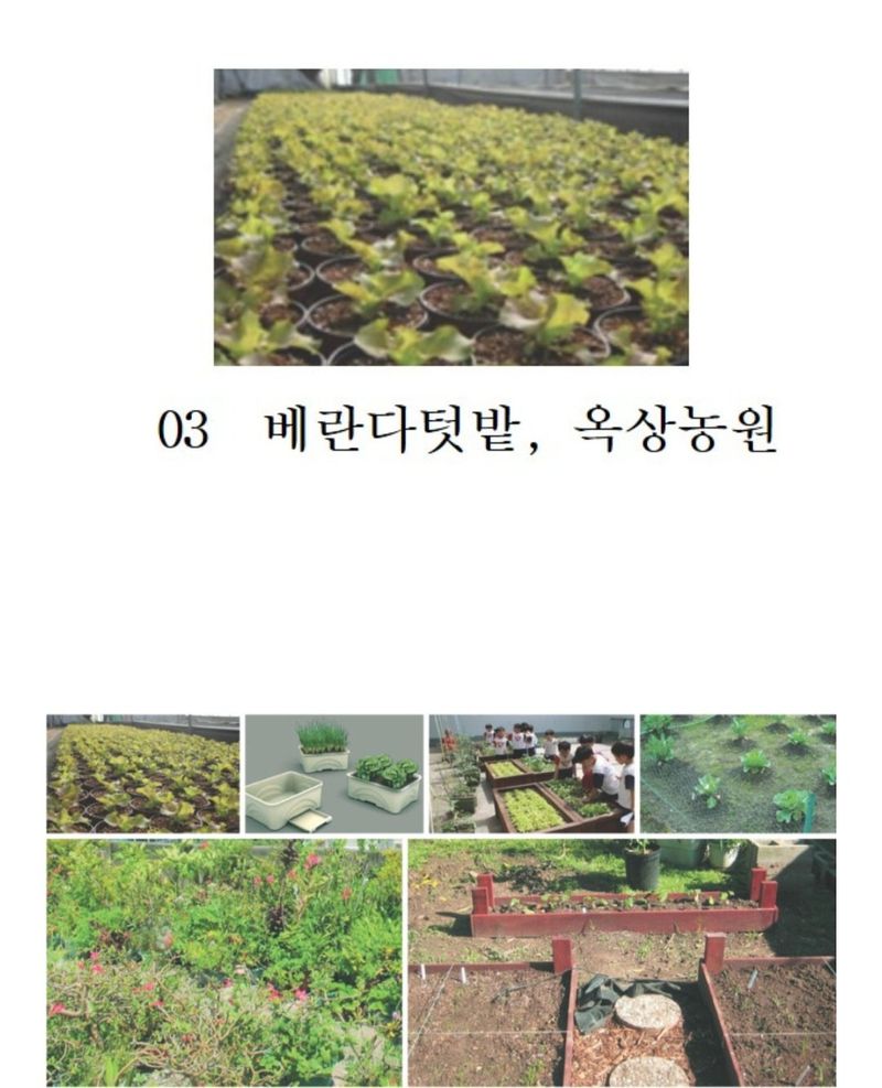 한농농약종묘사님의 장터 판매 상품 [배양토 화분 분갈이흙] 첨부 사진