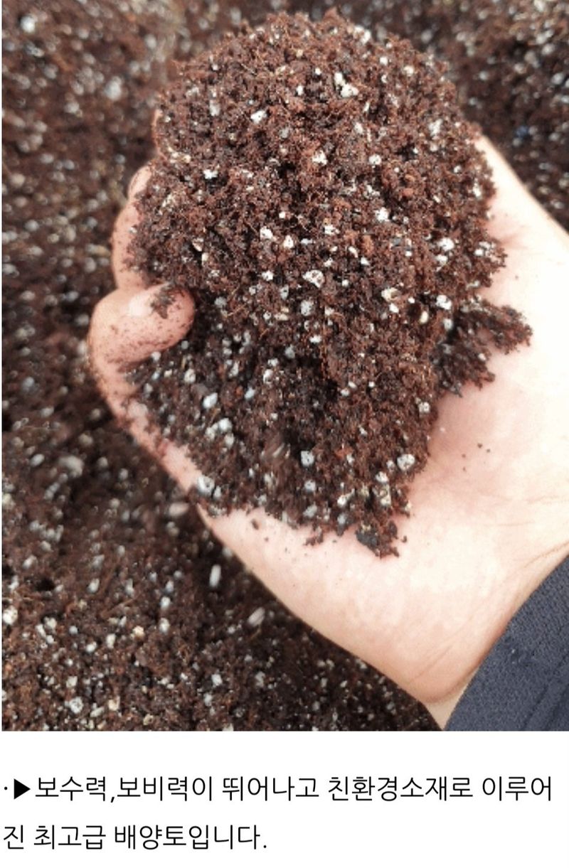 한농농약종묘사님의 장터 판매 상품 [배양토 화분 분갈이흙] 첨부 사진