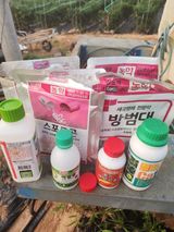 팜모닝 고추·영농일지 게시글 이미지