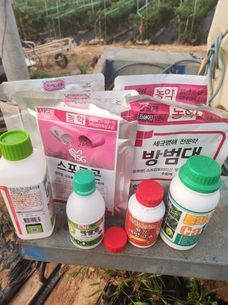 팜블리분매리농윈님의 고추 · 영농일지 작성글 사진