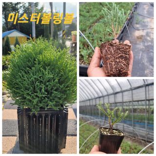 이선미님의 작성글 사진