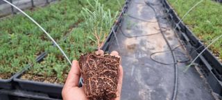 이선미님의 작성글 사진