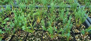 이선미님의 작성글 사진