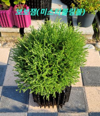 이선미님의 작성글 사진