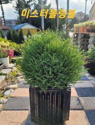 이선미님의 작성글 사진