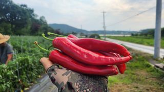 조한솔님의 자유주제 · 자유게시판 작성글 사진