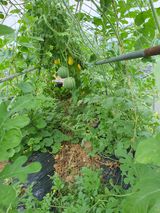 팜모닝 자유주제·자유게시판 게시글 이미지