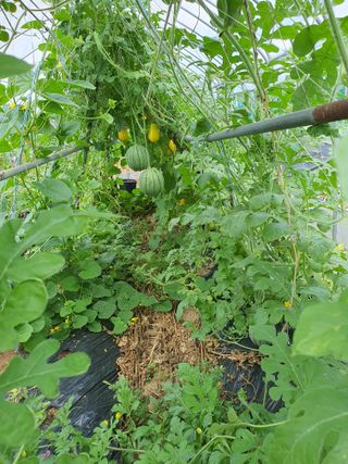 안비님의 자유주제 · 자유게시판 작성글 사진