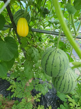 안비님의 자유주제 · 자유게시판 작성글 사진