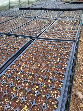 안비님의 자유주제 · 자유게시판 작성글 사진