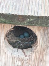 팜모닝 자유주제·자유게시판 게시글 이미지