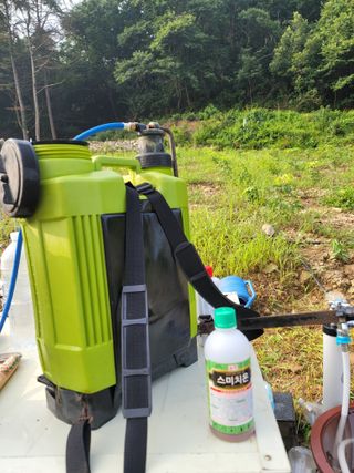 Kbcn님의 병해충 박멸! 살충제 추천 · 참여글 작성글 사진