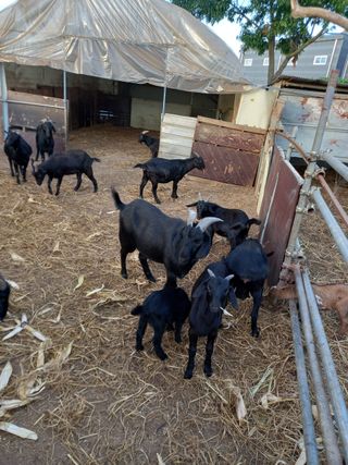 김석현님의 자유주제 · 자유게시판 작성글 사진