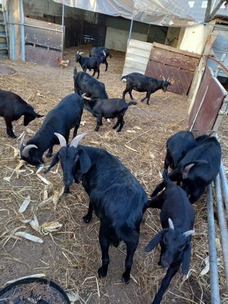 김석현님의 자유주제 · 자유게시판 작성글 사진