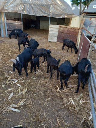 김석현님의 자유주제 · 자유게시판 작성글 사진