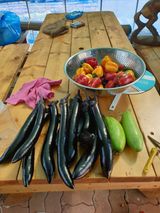 팜모닝 자유주제·자유게시판 게시글 이미지