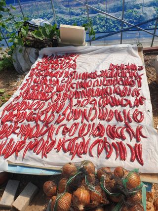 정옥성님의 자유주제 · 자유게시판 작성글 사진