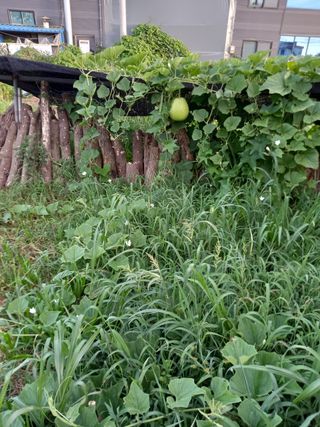 김석현님의 자유주제 · 자유게시판 작성글 사진