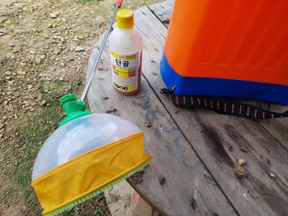 정석구님의 들깨 · 자유게시판 작성글 사진