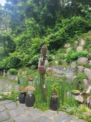 임영심님의 자유주제 · 사진전 작성글 사진