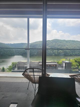 임영심님의 자유주제 · 사진전 작성글 사진