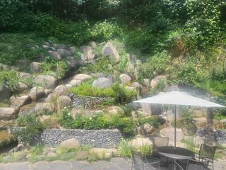 임영심님의 자유주제 · 사진전 작성글 사진