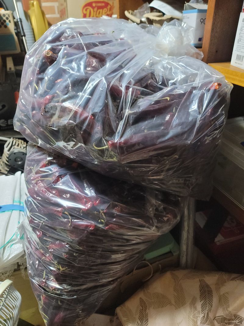 장터 상품 [고추20근(말린고추.첫물임)] 썸네일