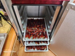 박해용(세건농장)님의 고추 · 수확 작성글 사진