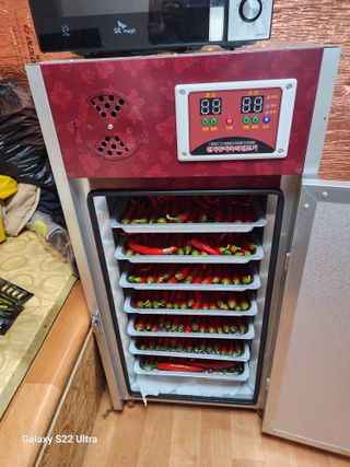 박해용(세건농장)님의 고추 · 수확 작성글 사진