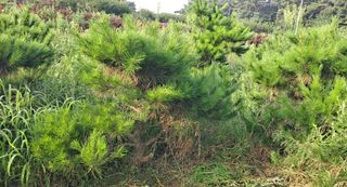 이정운님의 기타작물 · 자유게시판 작성글 사진