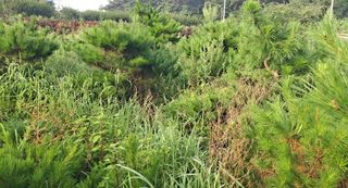 이정운님의 기타작물 · 자유게시판 작성글 사진