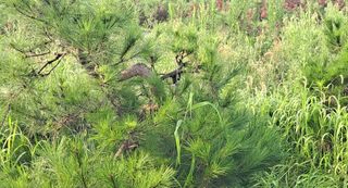 이정운님의 기타작물 · 자유게시판 작성글 사진