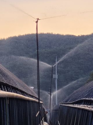 황인동님의 자유주제 · 자유게시판 작성글 사진