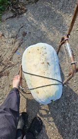 팜모닝 기타작물·자유게시판 게시글 이미지