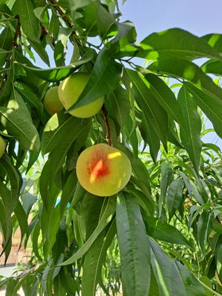 윤태용님의 작성글 사진