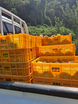 윤태용님의 작성글 사진