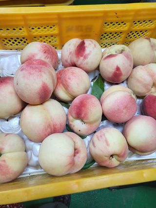 윤태용님의 작성글 사진