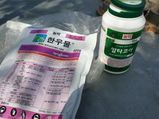 김용희님의 자두 · 영농일지 작성글 사진