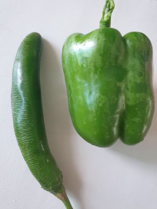 장철님의 고추 · 병해충상담 작성글 사진