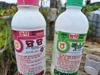 신동원님의 병해충 박멸! 살충제 추천 · 참여글 작성글 사진