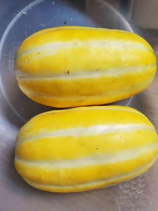 휘성님의 토마토 · 자연재해•동물피해 작성글 사진