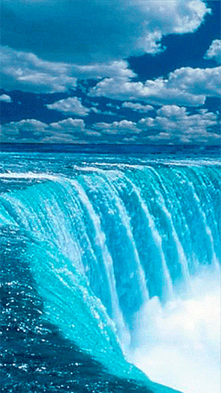 꿈드림뜨락님의 자유주제 · 자유게시판 작성글 사진