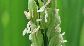 이정운님의 자유주제 · 자유게시판 작성글 사진