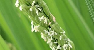 이정운님의 자유주제 · 자유게시판 작성글 사진