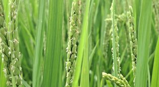 이정운님의 자유주제 · 자유게시판 작성글 사진