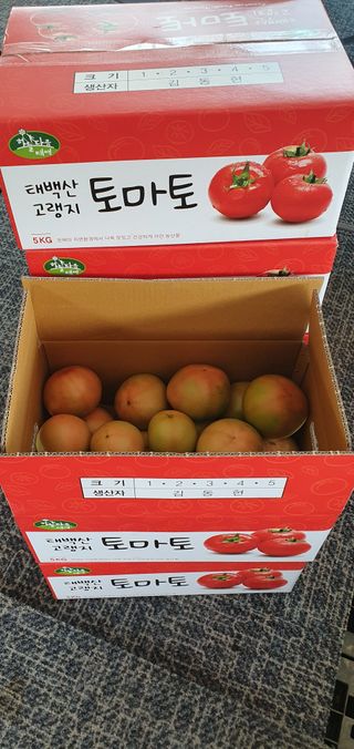 김동현님의 작성글 사진